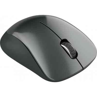 Мышка Canyon MW-11 Wireless Pixart Black (CNE-CMSW11B) Винница