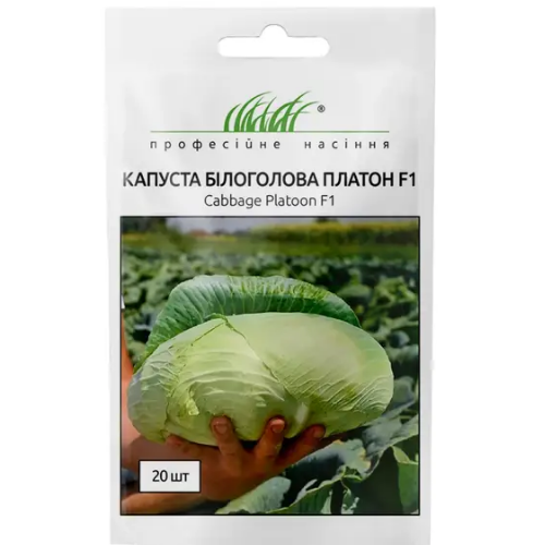 Капуста білоголова Платон F1 20шт Професійне насіння Житомир