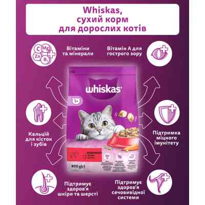 Сухий корм для кішок Whiskas з яловичиною 800 г (5998749144145) Вінниця