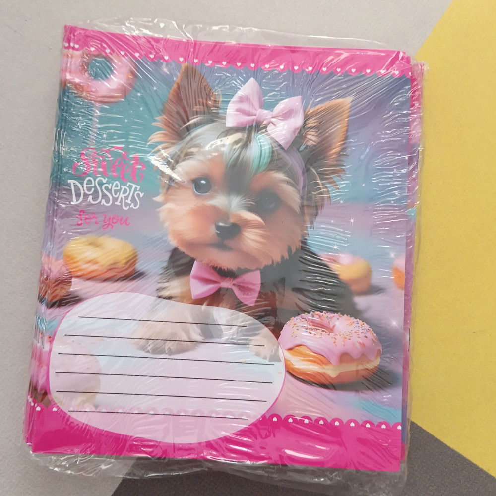 Зошит 12аркушів клітинка Лідер дівчинка Київ - фото 2