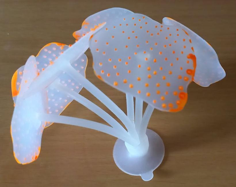 Яскравий декор в акваріум - Морський гриб Помаранчевий Київ - фото 2