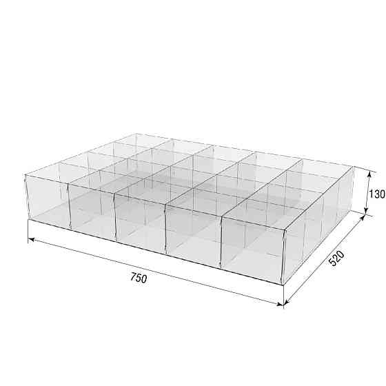 Коробка акриловая EKOSTAR 750х520х130 20 ячеек Киев