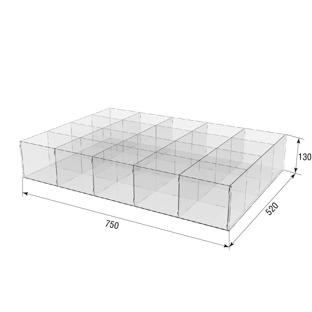 Коробка акриловая EKOSTAR 750х520х130 20 ячеек Киев - изображение 3
