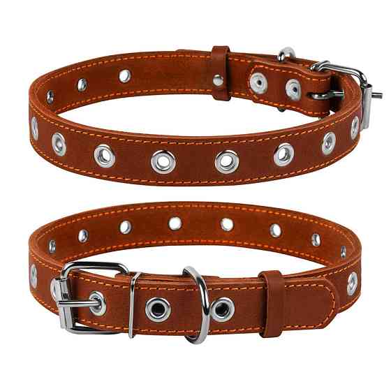 Нашийник "CoLLaR" безрозмірний (ширина 25мм, довжина 60см) коричневий Київ