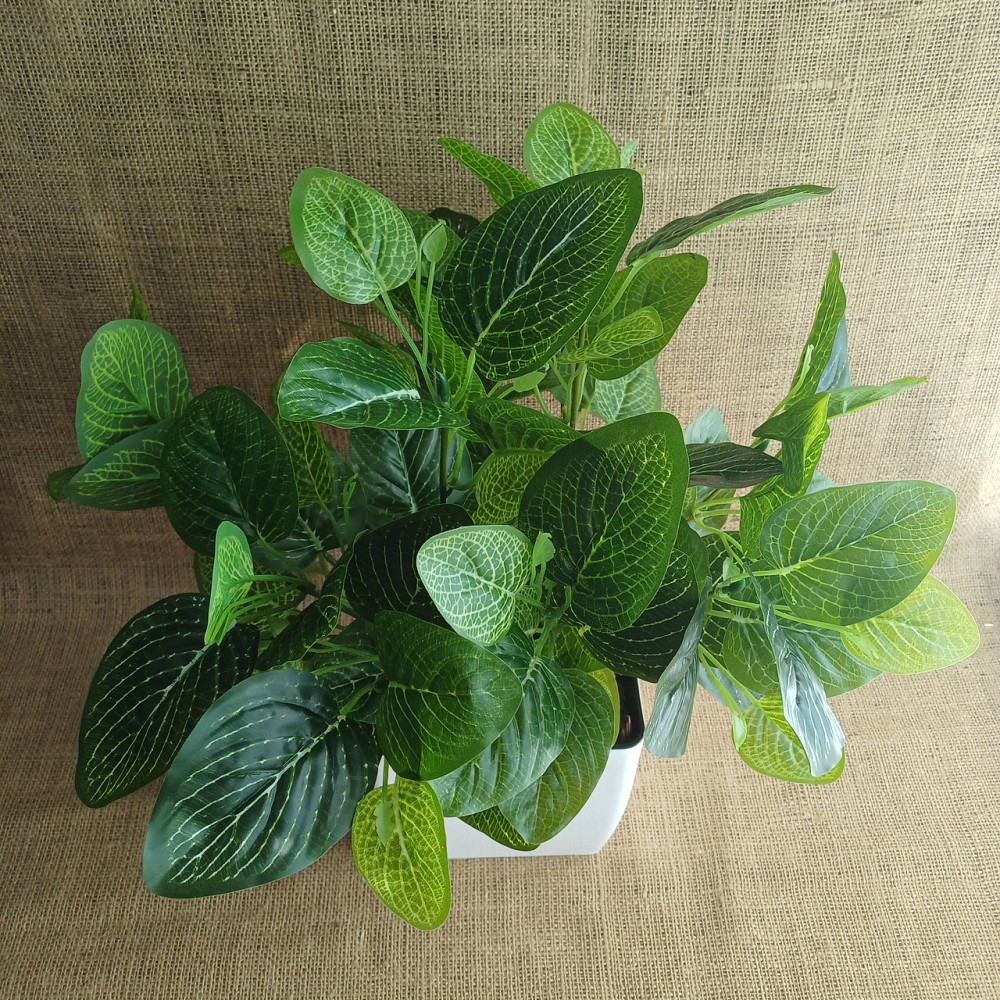 Штучний кущ фітонії із латексу Дніпро - фото 2