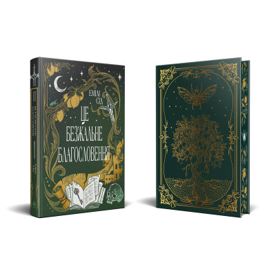 Книга Остання Фінестра. Книга 1: Це безжальне благословення - Емілі Сід Видавництво РМ (9786178373764) Вінниця - фото 2