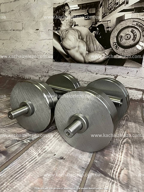 Гантели наборные 2 по 16 кг + Переходник для штанги Гантели, гири, штанги и диски металлические без покрытия Киев - изображение 2