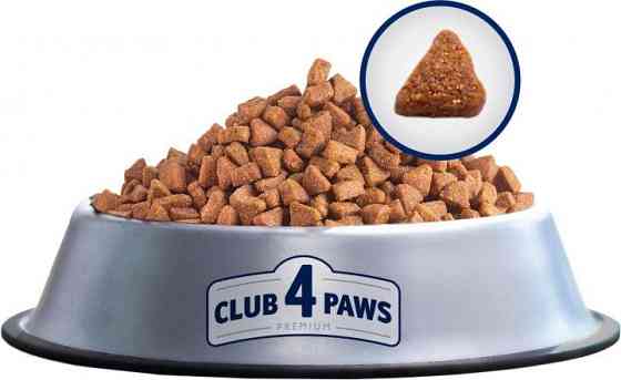 Повнораціонний сухий корм Club 4 Paws (Клуб 4 Лапи) Преміум для цуценят з високим вмістом курки, 14 кг Вінниця