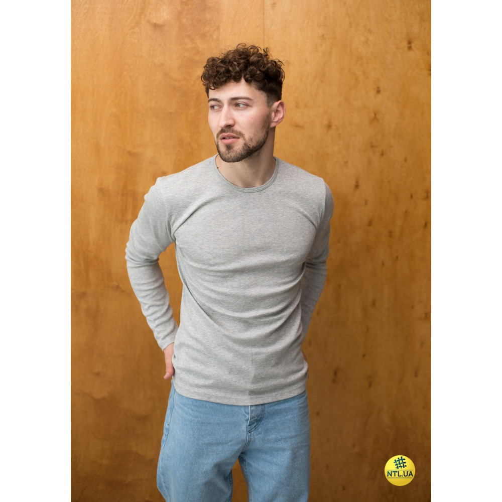 Чоловіча футболка з довгим рукавом лонгслів зі 100% бавовни Наталюкс 21-1308 3XL, Черный, Серый Киев - изображение 1
