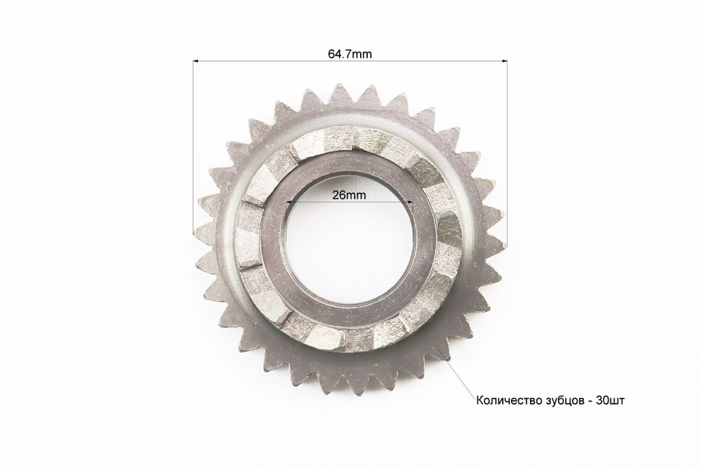 Храповик барабану зчеплення к-кт Киев - изображение 3