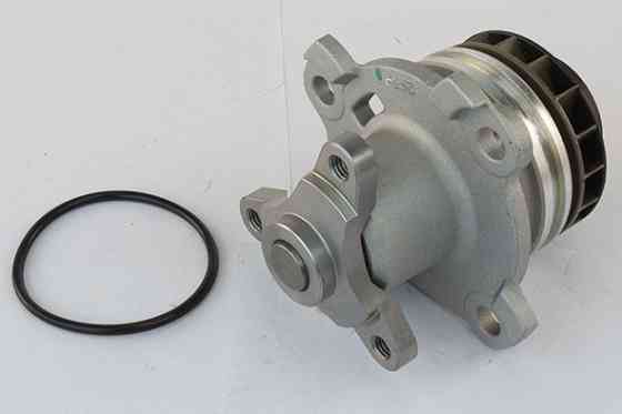 Помпа води Renault 2,0 DCi (M9R) 2,3 DCi (M9T) Akron Malo MA130336 Київ