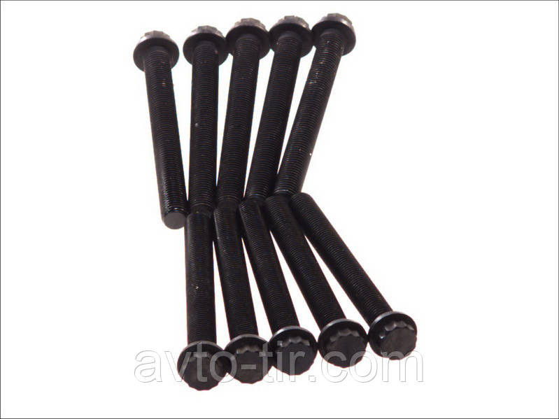 Комплект болтов головки блока Mercedes  Atego, Axor Луцк - изображение 1