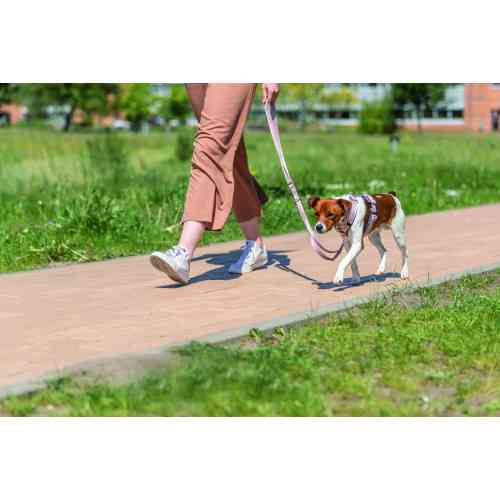 Повідок Trixie Premium для собак регульований XS–S 2 м 15 мм світло-рожевий Київ