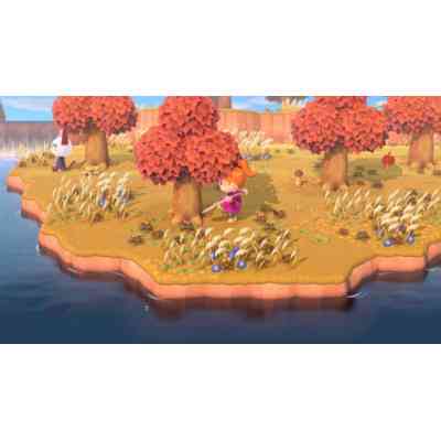 Гра Nintendo Switch Animal Crossing: New Horizons (45496425470) Вінниця