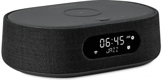 Портативная колонка Harman Kardon Citation Oasis FM (Czarny) Киев