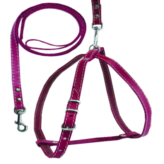 765 Комплект "КЛАСИК" собака №3 Вінниця