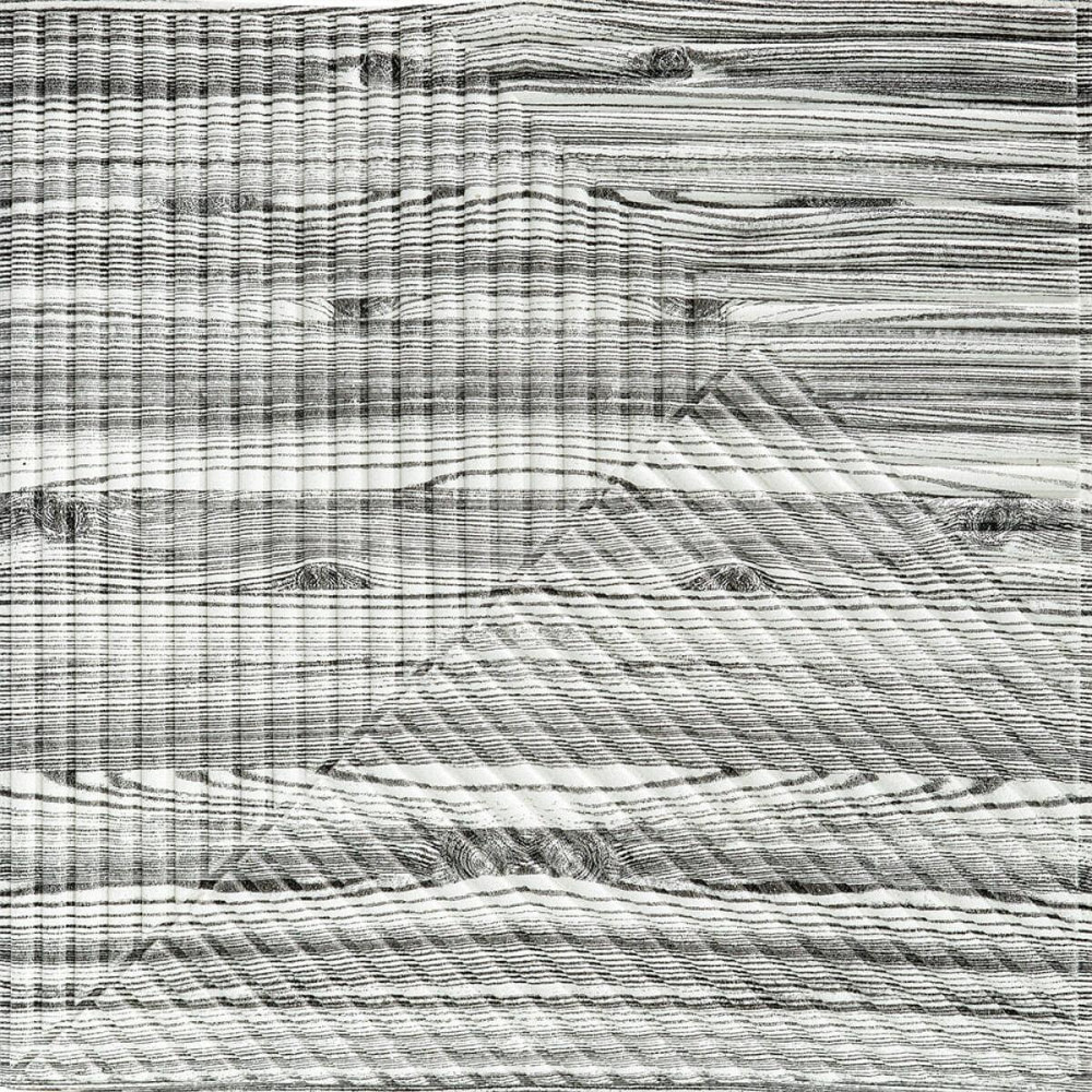 Декоративная 3D панель Бамбук Дерево Зебра, самоклеящаяся Киев - изображение 1