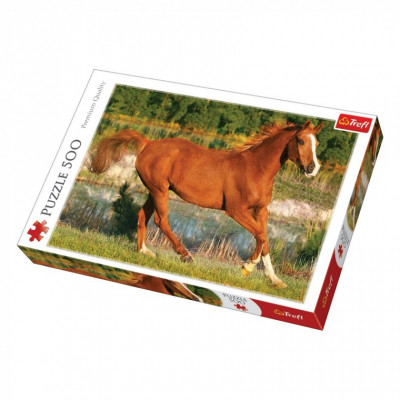 Пазл Trefl Краса галопу, 500 елементів (6069732) Вінниця - фото 1