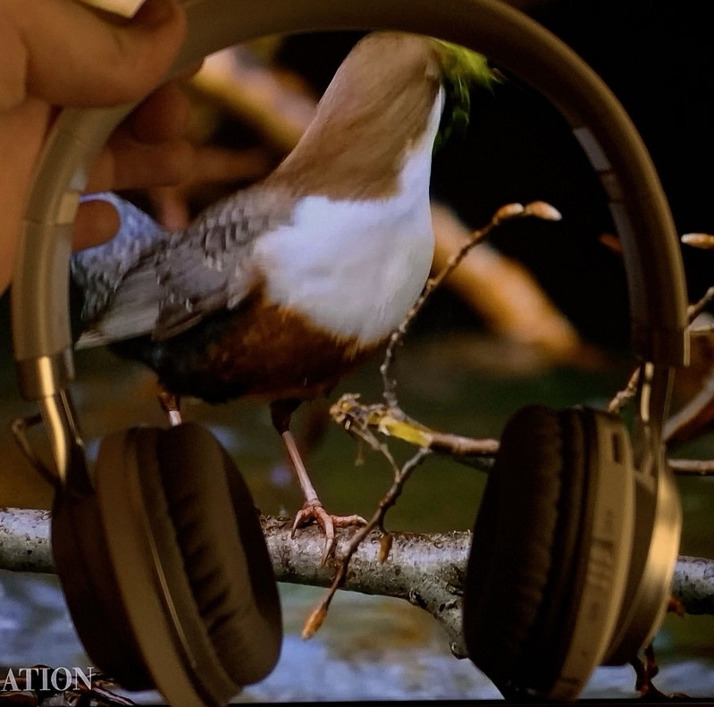 Бездротові навушники 2e v1 Харьков - изображение 2