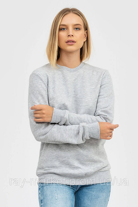 Світшот базовий утеплений Ray Basic сірий меланж (U0301W-Grey Heather) 3XL Київ - фото 1