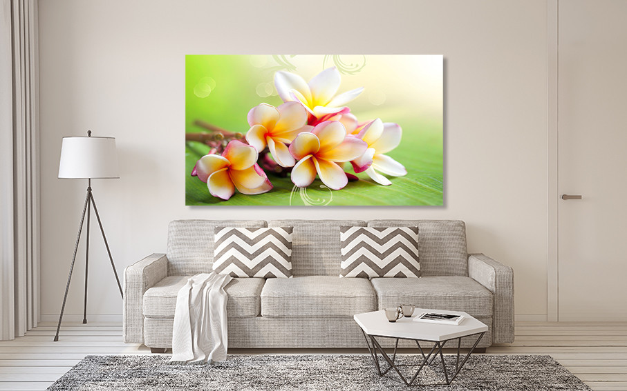 Картина холст у вітальню / спальню Плюмерія     MLP_96  ( 60х30см ) 80x120 см Київ - фото 2