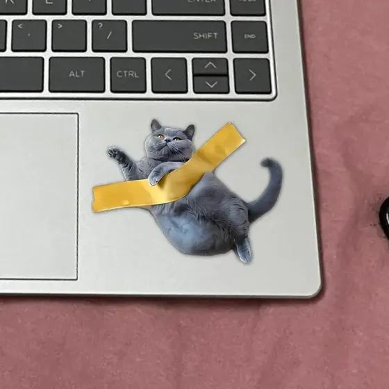 3D наклейка кот на скотче – милое украшение ноутбука и стен Киев
