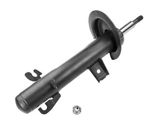 Амортизатор передній правий Raiso (Швеція) Mini Cooper R53, Міні Купер Р53 01-06 #RS290236 UAOMNAX22 Ковель