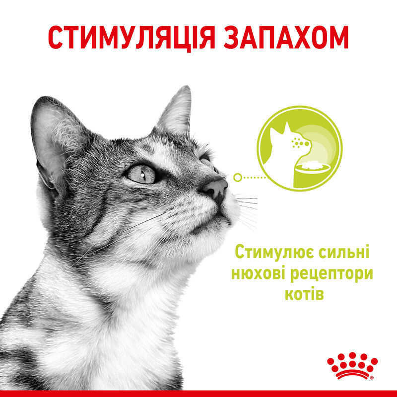 Royal Canin Sensory Smell Gravy (Роял Канін Сенсорі шматочки) вологий корм для перебираних кішок 85 г х 12 шт. Запоріжжя - фото 3