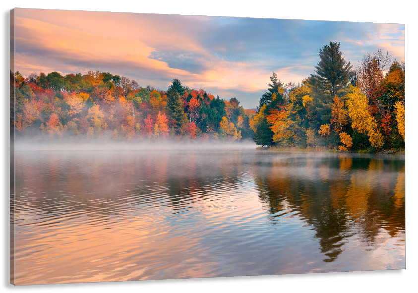 Картина холст в гостиную / спальню Природа  MLP_74 60x100 см Киев - изображение 1