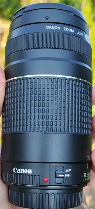 Об'єктив: Canon 75-300 1:4-5.6 III. Харків - фото 1