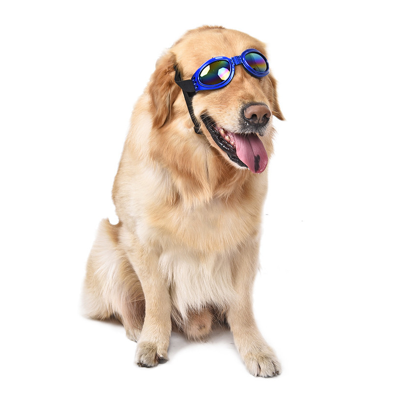 Окуляри для собак сині Київ - фото 2