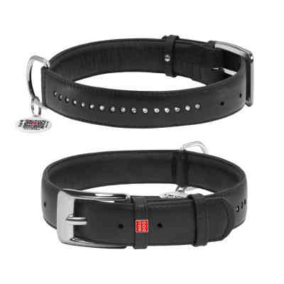 Нашийник для тварин WAUDOG Glamour з QR-паспортом, подвійний Ш 25 мм Д 38-49 см чорний (38781) Вінниця