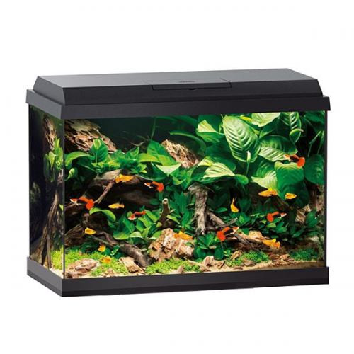 Акваріум Juwel прямий Primo 70 LED чорний 61x44x31см 70 л Київ - фото 1