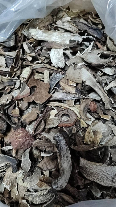 Підосиковик / Козарики (гриб сухий), 500г. Київ - фото 1