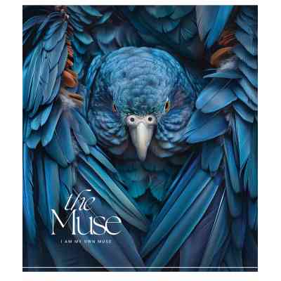 Зошит Школярик THE MUSE 60 аркушів клітинка (060-3444K) Вінниця