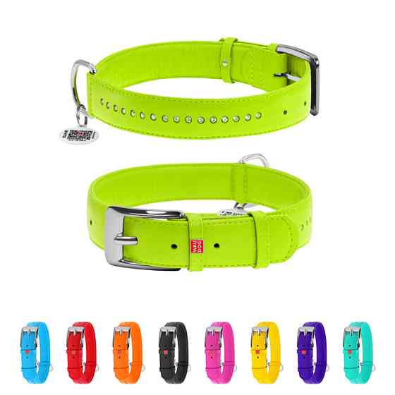 Нашийник для собак шкіряний WAUDOG Glamour з QR паспортом, подвійний зі стразами, XL, Ш 35 мм, Коломыя