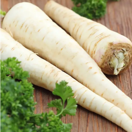 Петрушка Алба коренева 2гр Професійне насіння Житомир - фото 3