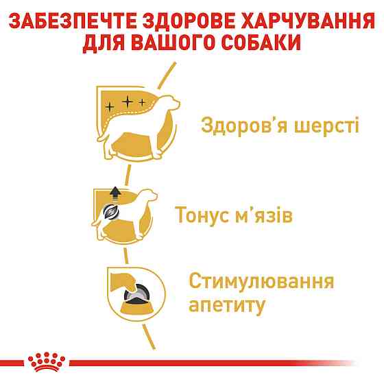 Вологий корм для дорослих собак породи Пудель ROYAL CANIN POODLE LOAF 0.085 г Київ