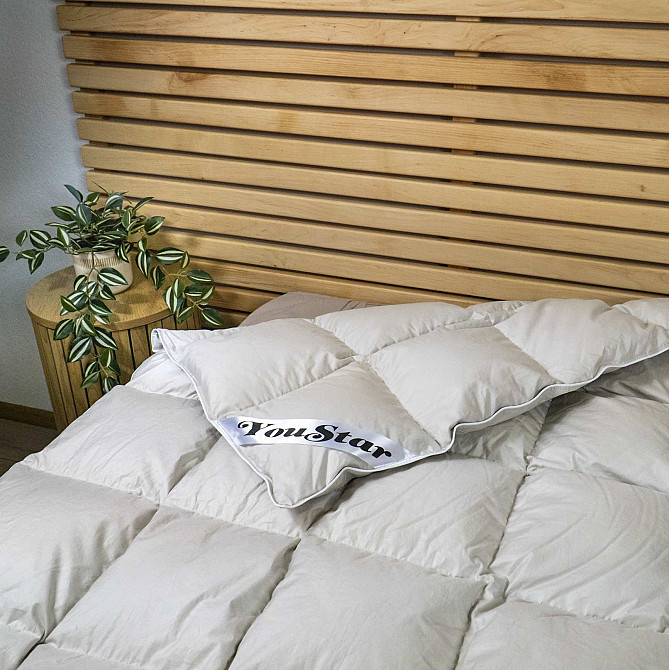 Эксклюзивное пуховое Двуспальное одеяло премиум качества YouStar 100% гусиный пух, Сатин, размер 175х205 см (Бежевый) Сумы - изображение 5