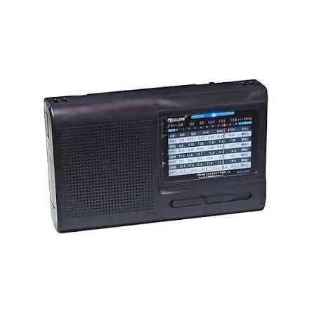 Портативний радіоприймач Golon RX-3040 з пам'яттю на 50 станцій, FM/AM/SW, акумулятором, ремінцем та USB Одеса