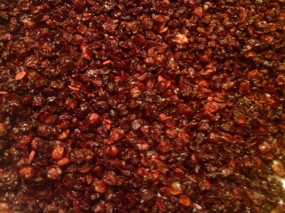 Калина (ягода), 250г. MasterSEM Киев - изображение 1