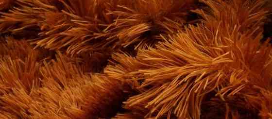 Большй  медведь Алина Бублик 200 см коричневый Киев