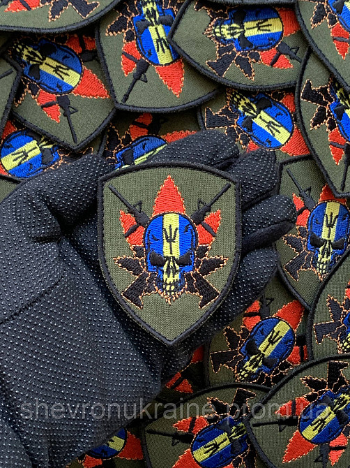 Шеврон Черепок (Форма щит. На липучці) Розмір 8x6см Київ - фото 6