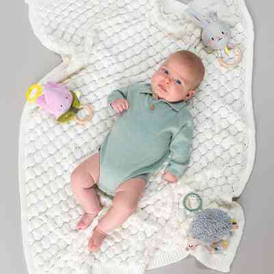 Игрушка на коляску Taf Toys Сад в городе Ёжик Спайк (13035) Винница