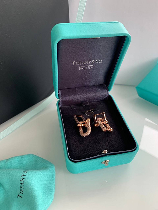Tiffany серьги hardwear / упакованы в мешочек Одесса - изображение 2