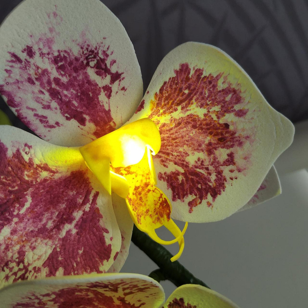 Світильник-нічник "Біло-бузкова орхідея" Дніпро - фото 2