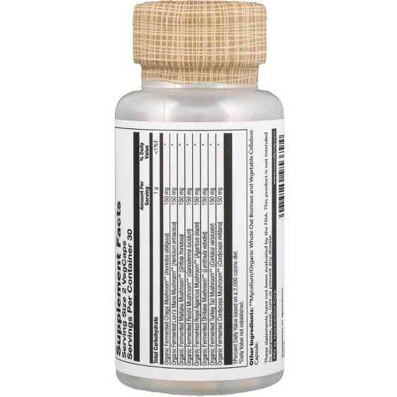 Суміш лікувальних грибів (Fermented Mushroom Complete) 600 мг 60 капсул Київ