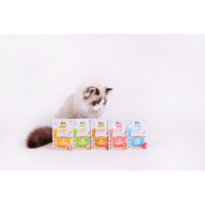 Влажный корм для кошек Brit Care Soup with Chicken с курицей 75 г (8595602569175) Винница - изображение 5