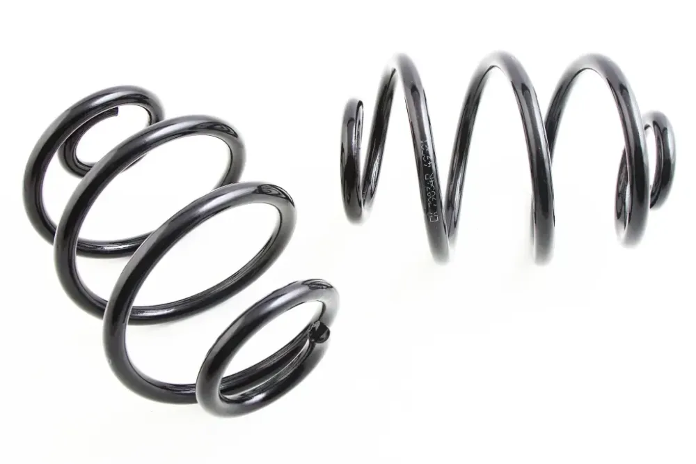 Пружины Lanos задние усил. EuroEx Винница - изображение 1