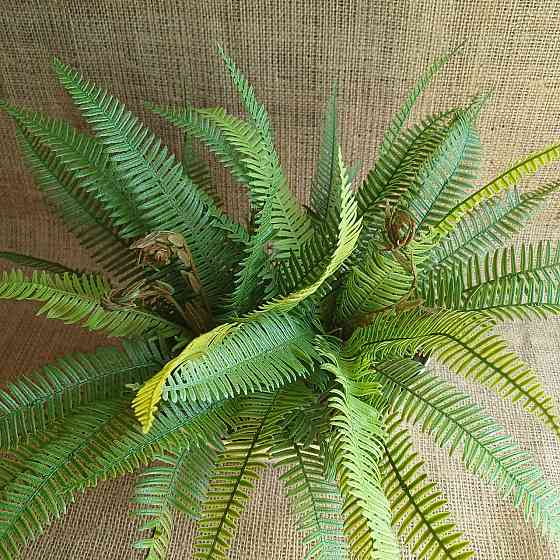 Штучний кущ міні папороті з латексу Дніпро